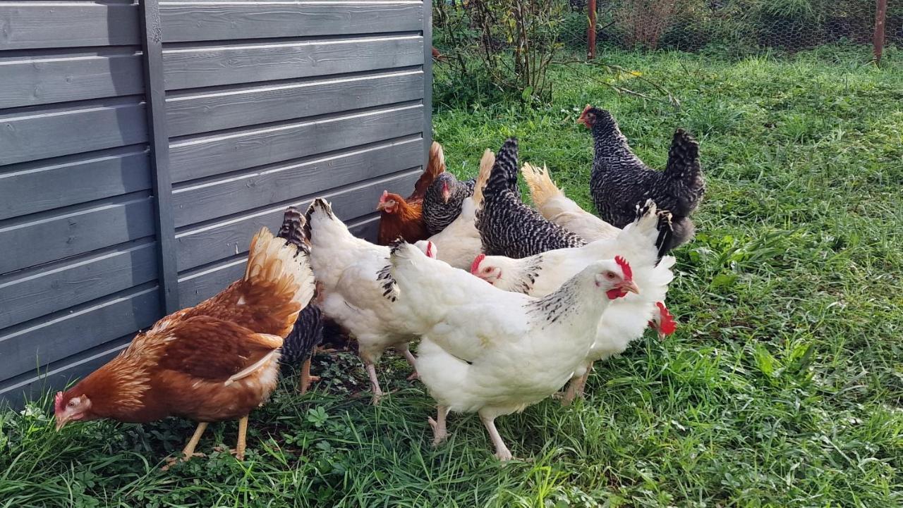 Domaine Le Puits Du Moulin Panzió Comberjon Kültér fotó